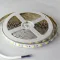 Лед стрічка led-stil DFP5050WW-60P-IP20-2W 60-5050-12V-IP33 12Вт 1200Лм 2700+6500К CRI 80+