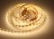 LED лента PROLUM™ 12V; 2835\60; IP20; Series "S", Тепло-білий (2700-3000К)