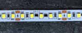 Лед стрічка Skarlat 24В 2835-120 12Вт 3150Лм LED WYJ 6000K IP20