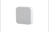 Шлюз керування PROLUM™ BLUETOOTH;  TUYA; HomeLink;