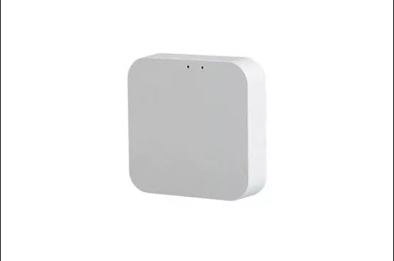 Шлюз керування PROLUM™ BLUETOOTH;  TUYA; HomeLink;