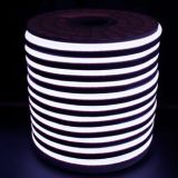 Світлодіодний LED гнучкий неон PROLUM 2835\120 IP68 12V, Білий