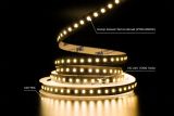 Світлодіодна LED стрічка PROLUM™ RUN 24V; 2835\120; IP20; Series "SMART", Білий+Тепло-Білий (2700-6500K)