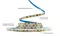 LED лента 12В 2835-120 10Вт 1300Лм SG 5500-6000К IP20