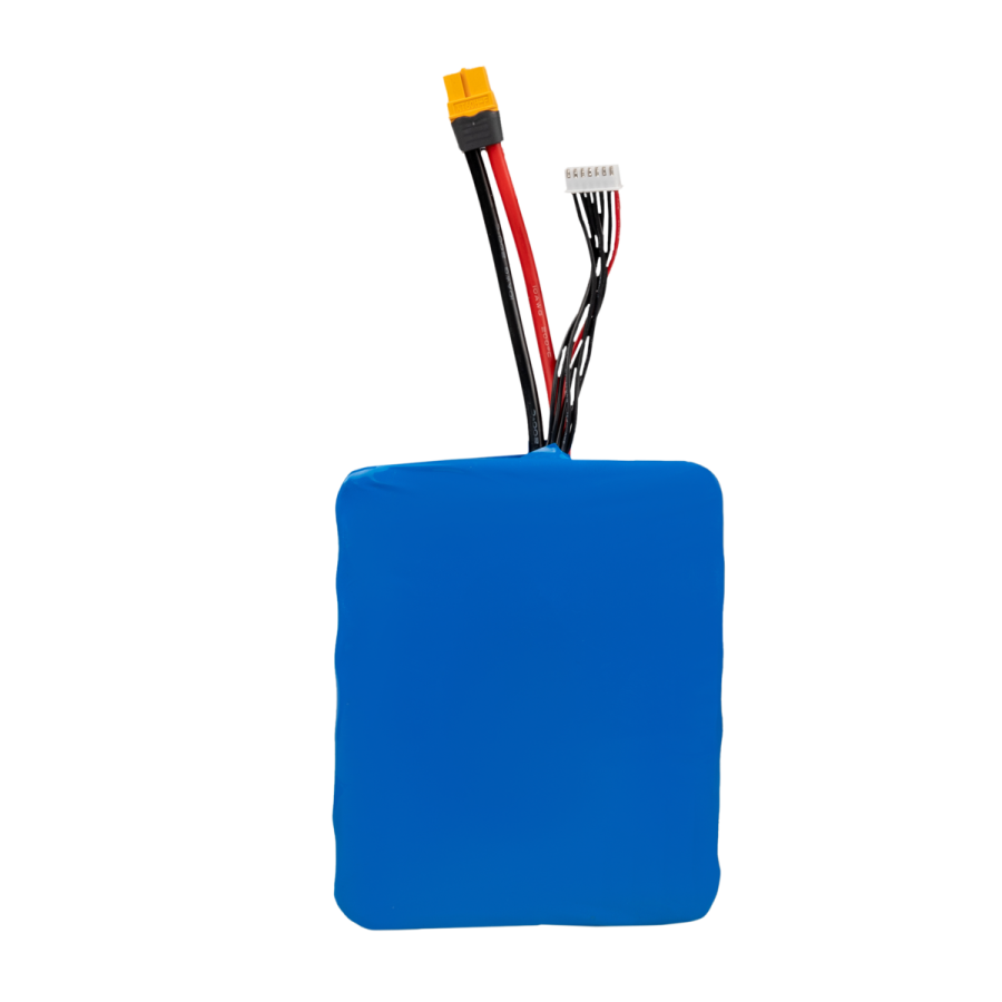 Акумулятор Li-ion 22,2V 21000 mAh (466Wh) 225A Molicel Високострумовий 6S5P