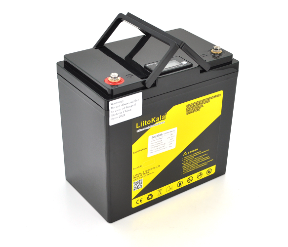 АКБ Аккумулятор LiitoKala 24-30 LiFePO4 24V (29,2V) 30Ah BMS(10(50)/100A) с LCD дисплеем 260*170*215мм 5,5кг