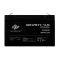 Аккумулятор AGM LPM 6V - 12 Ah