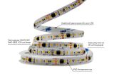 Світлодіодна LED стрічка PROLUM™ RUN 24V; 2835\120; IP20; Series "SMART", Білий+Тепло-Білий (2700-6500K)