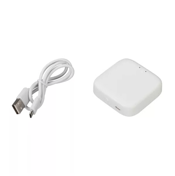 Шлюз керування PROLUM™ BLUETOOTH;  TUYA; HomeLink;