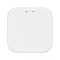 Шлюз керування PROLUM™ BLUETOOTH;  TUYA; HomeLink;