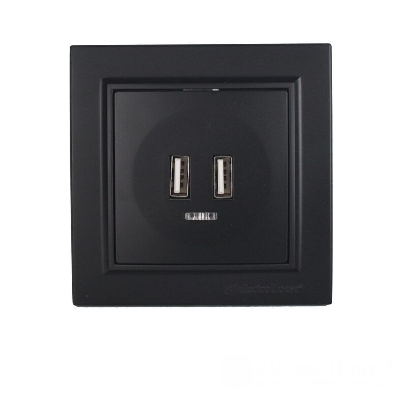 Розетка USB (2 порти) 2A, Enzo бездоганний графіт