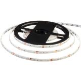 LED лента 12В 3528-60 4,8Вт Синий IP65