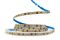 LED лента 12В 2835-120 10Вт 1300Лм SG 2800-3200K IP20