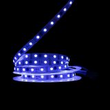 Світлодіодна LED стрічка PROLUM™ 12V; 5050\60; IP20; Series "SMART", RGB (Pixel Full Color)