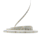 Світлодіодна LED стрічка PROLUM™ 24V; 2835\120; IP20; MAX 20M; Series "SG", Білий (5500-6000К)