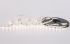 Лед стрічка COLORS 24В 2835-60 DJ60 4,4Вт 480Лм 3000K IP20