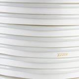 Лед стрічка НЕОН AVT 220В 51 10х17мм 120WW2835 10Вт IP65 2700-3500К