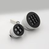Skarlat RSL74266 9х2.5W WH+BK 3000K