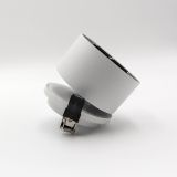 Skarlat RSL74265 4х2.5W WH+BK 3000K