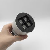Skarlat RSL74265 4х2.5W WH+BK 3000K