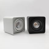 Точечный светильник Premium RSLC78013 30W WH 4000K