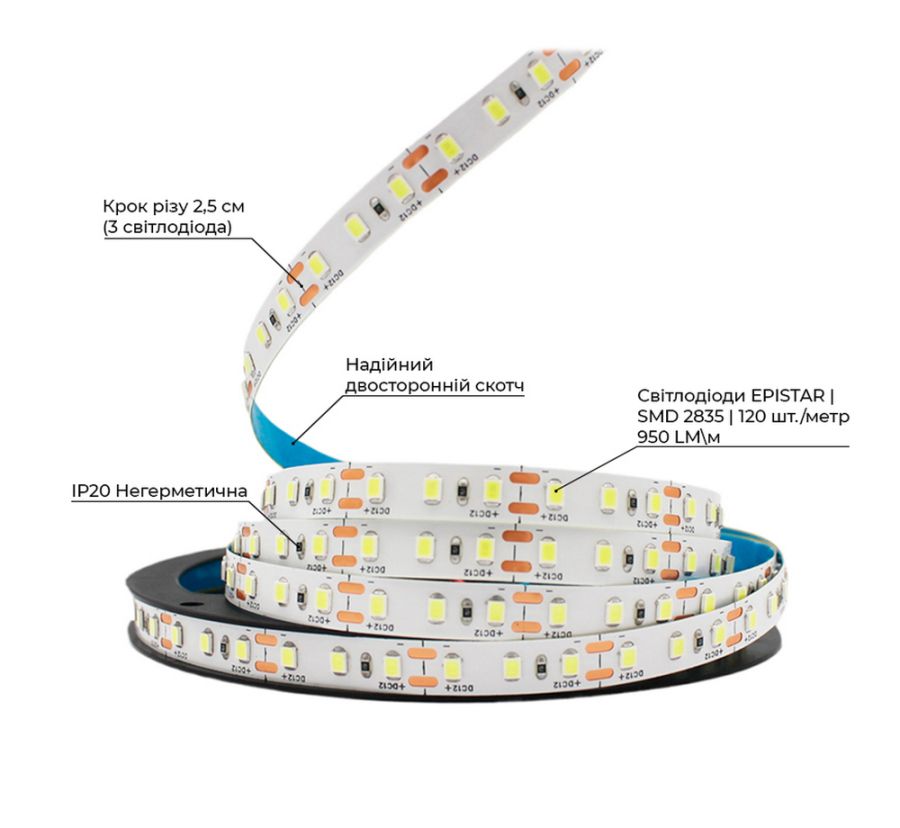 Світлодіодна LED стрічка PROLUM™ 12V; 2835\120; IP20; Series "S", Холодний-білий (9000-10000К)