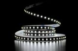 Світлодіодна LED стрічка PROLUM™ 12V; 2835\120; IP20; Series "SG", Білий (5500-6000К)