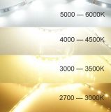 Світлодіодна LED стрічка PROLUM™ 12V; 2835\120; IP20; Series "SG", Тепло-Білий (2800-3200K)