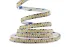 LED лента 12В 2835-240 19Вт 1500Лм SG 5500-6000К IP20