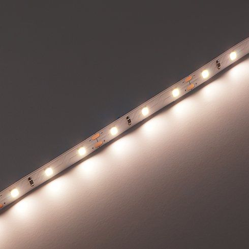 LED стрічка PROLUM™ 12V; 2835\60; IP20; Series "PRO", Нейтральний-Білий (3800-4300K)