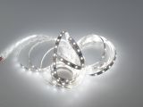 LED стрічка PROLUM™ 12V; 2835\60; IP20; Series "SG", Білий (5500-6000К)
