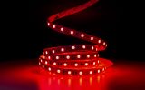 Світлодіодна LED стрічка PROLUM™ 12V; 5050\60; IP20; Series "SG", RGB