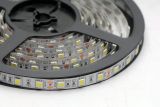 Світлодіодна LED стрічка гнучка 12V PROlum ™ IP20 5050\60 Series "SG", RGB