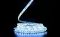 LED лента 12В 2835-120 12Вт 1300Лм SG 6000К IP65