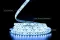 LED лента 12В 2835-120 12Вт 1300Лм SG 6000К IP65