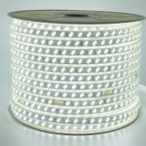 LED лента 220В 5730-120 9Вт 1100Лм S 5500-6000К IP68