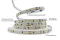 Світлодіодна LED стрічка PROLUM™ 24V; 2835\120; IP20; Series "SG", Білий (5500-6000К)