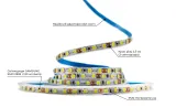 Світлодіодна LED стрічка PROLUM™ 5 ММ 12V; 2835\120; IP20; Series "SG", Холодний-білий (9000-10000К)