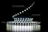 Світлодіодна LED стрічка PROLUM™ 5 ММ 12V; 2835\120; IP20; Series "SG", Холодний-білий (9000-10000К)