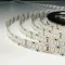 LED лента 12В 2835-240 20Вт 2300Лм ST 6000K IP20