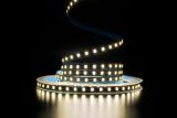 Світлодіодна LED стрічка PROLUM™ 12V; 2835\120; IP20; S-TYPE Series "SG", Нейтральний-Білий (3800-4300K)