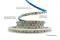 Світлодіодна LED стрічка PROLUM™ 12V; 2835\120; IP20; S-TYPE Series "SG", Нейтральний-Білий (3800-4300K)