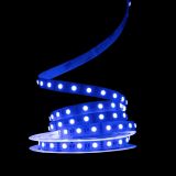 Світлодіодна LED стрічка PROLUM™ 12V; 5050\60; IP20; Series "PRO", RGB + W