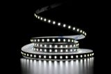 Світлодіодна LED стрічка PROLUM™ 12V; IP20; Series "SG" High Lumen, Білий (5500-6000К)