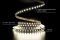 Світлодіодна LED стрічка PROLUM™ 24V; 2835\120; IP20; Series "SG", Нейтральний-Білий (3800-4300K)