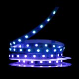 LED лента 24В 5050-60 15Вт RGB SMART IP20