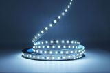 Світлодіодна LED стрічка PROLUM™ 12V; 2835\120; IP20; Series "S", Холодний-білий (9000-10000К)