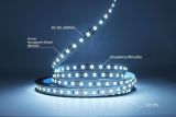 Світлодіодна LED стрічка PROLUM™ 12V; 2835\120; IP20; Series "S", Холодний-білий (9000-10000К)