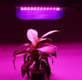 Світлодіодний прожектор 30вт LEDTech фіто світильник повного спектру