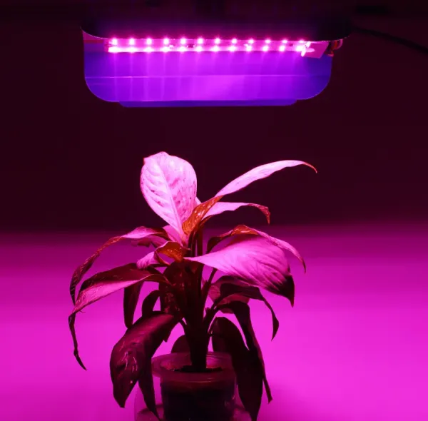 Світлодіодний прожектор 30вт LEDTech фіто світильник повного спектру